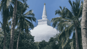 YOGA RETREATS IN SRI LANKA