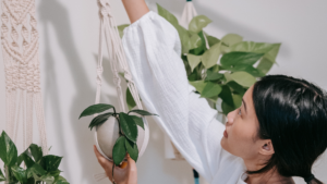 buy less stuff - make it yourself