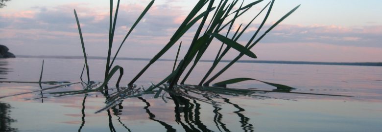 JP Le Roux – Integrative Life Coaching