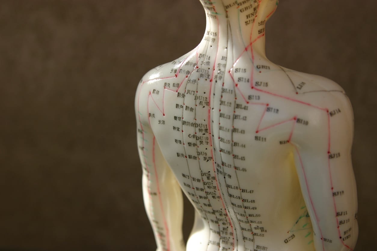 Online Meridian course
